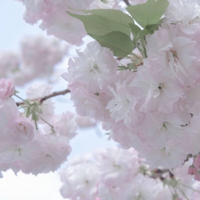 徐州福瑞交流群